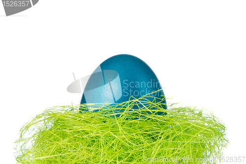 Image of easter egg in nest