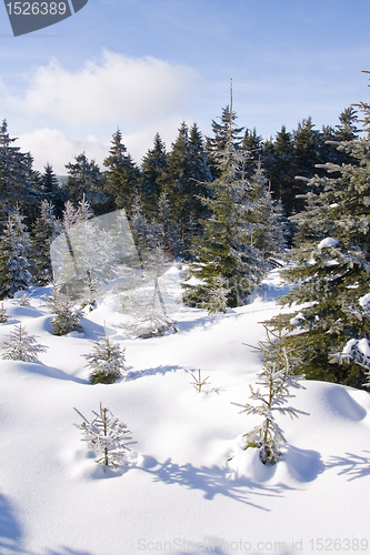 Image of fresh snow in the mountains