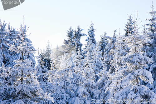 Image of fresh snow in the mountains