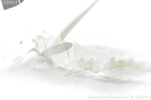 Image of milk splash