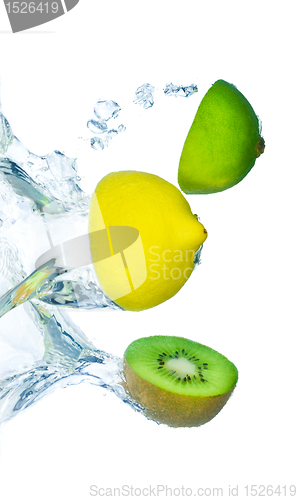 Image of citrus fruit splashing