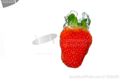Image of strawberry in the water