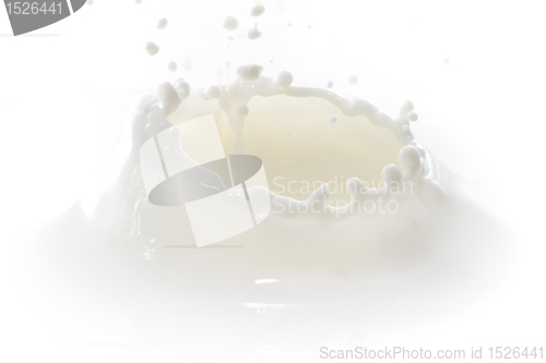 Image of milk splash