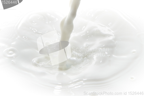 Image of milk splash