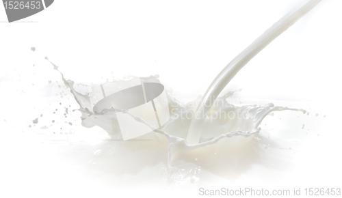 Image of milk splash