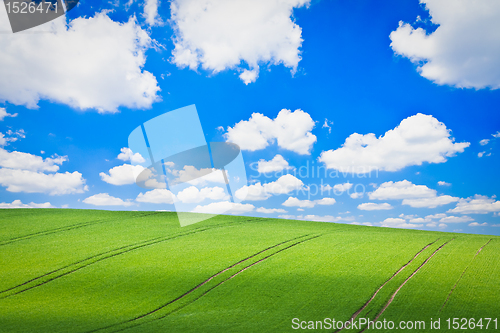 Image of green field