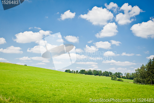 Image of agriculture landscape