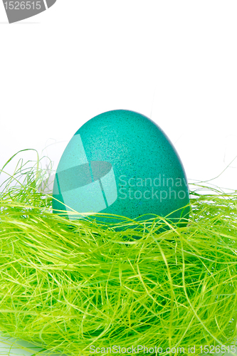 Image of easter egg in nest