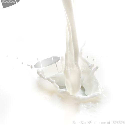 Image of milk splash