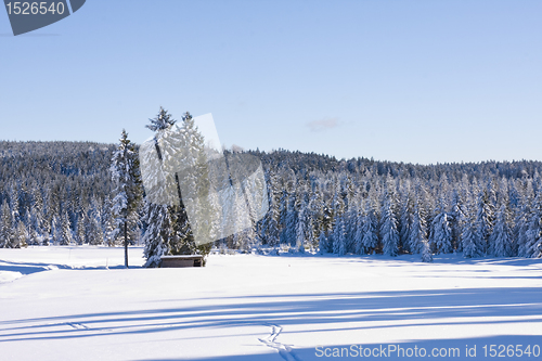 Image of fresh snow in the mountains