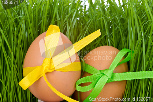 Image of easter egg and grass