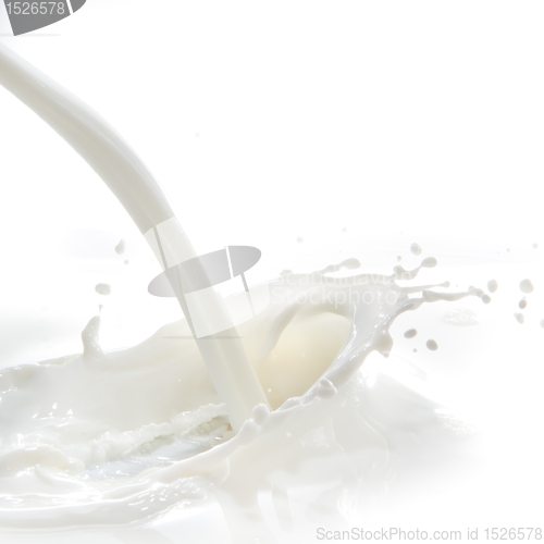 Image of milk splash