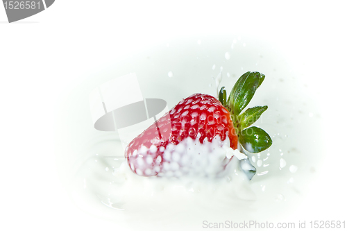 Image of strawberry splashing into milk