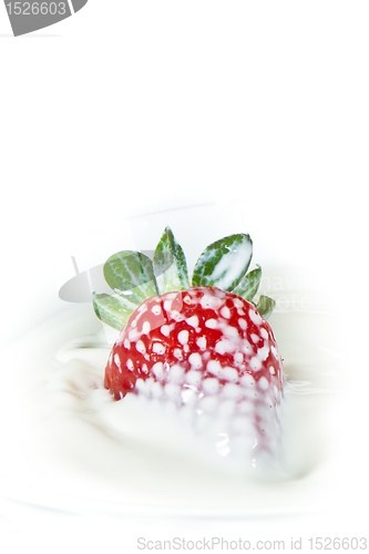 Image of strawberry splashing into milk