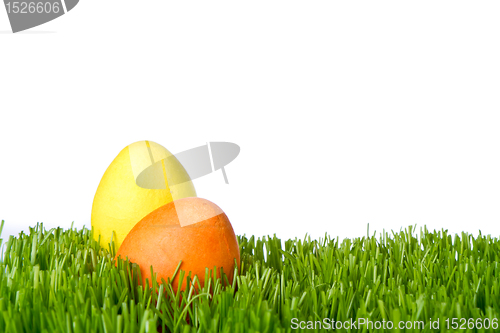 Image of easter eggs in grass