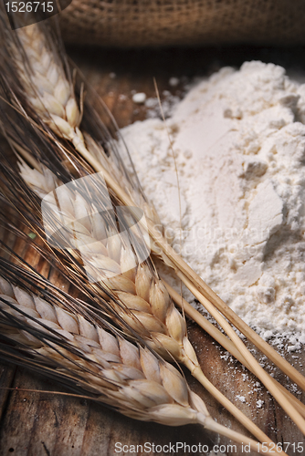 Image of Wheat ears
