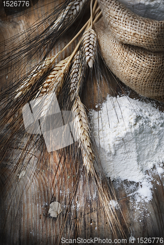 Image of Wheat ears