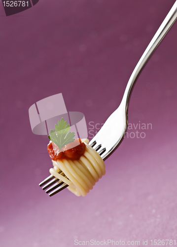 Image of Spaghetti