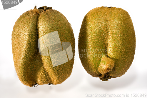 Image of kiwifruit