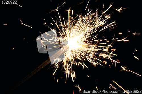 Image of bengal light