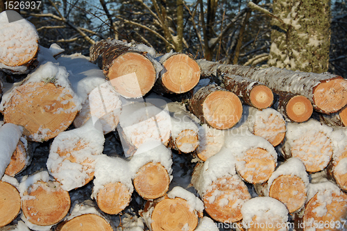 Image of Pile of wooden logs in winter snow