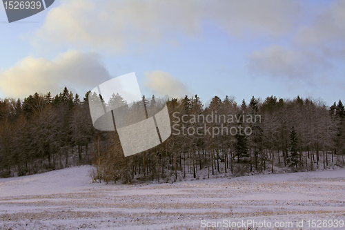 Image of Rural landscape in winter dusk