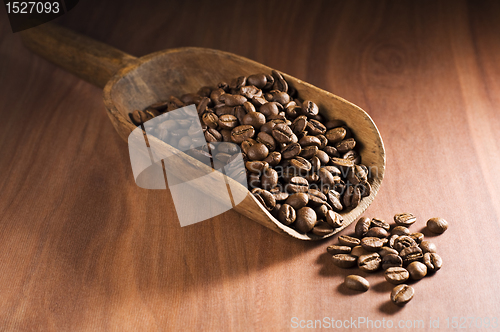 Image of Coffee