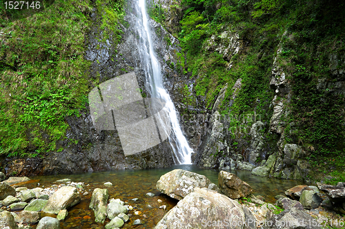 Image of cascade in forest