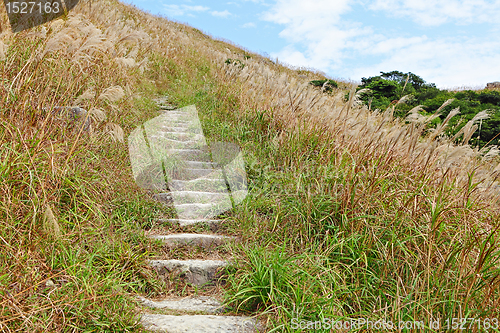 Image of mountain path for hiking