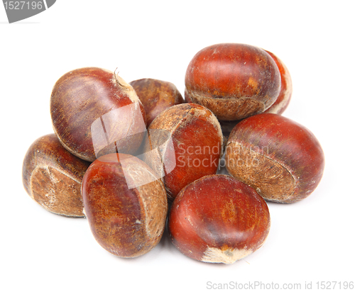 Image of chestnut isolated