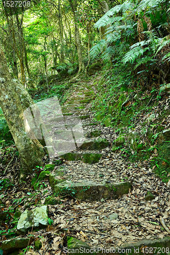 Image of mountain path for hiking