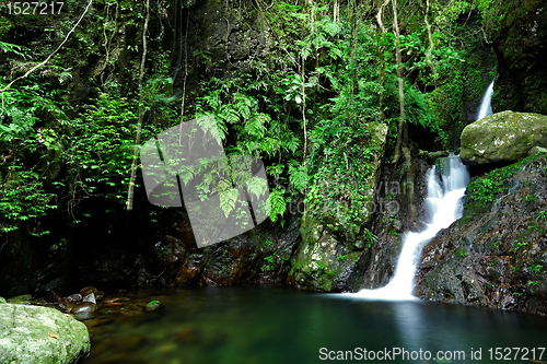 Image of cascade in forest