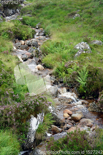 Image of small stream with pebbles