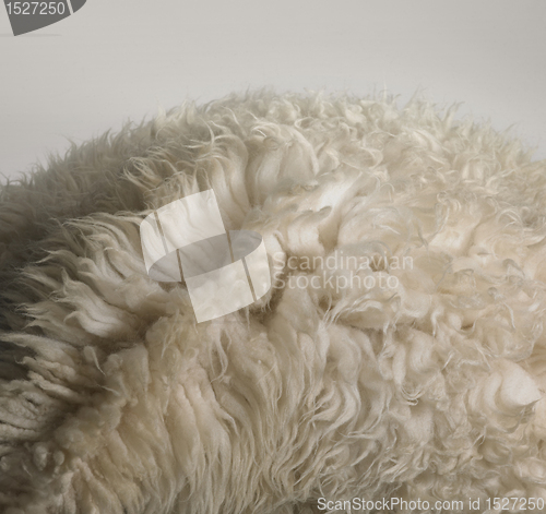 Image of sheepskin rug detail