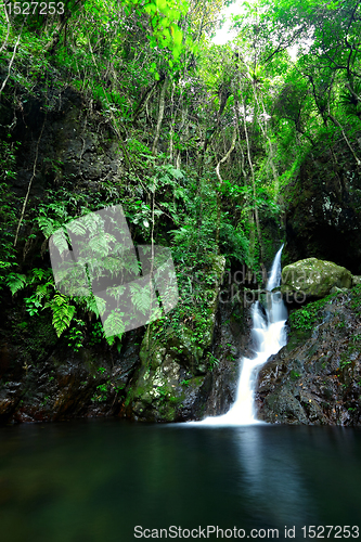 Image of cascade in forest