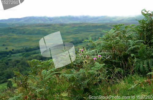 Image of scottish panoramic scenery