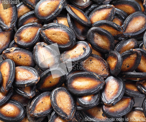 Image of black melon seed