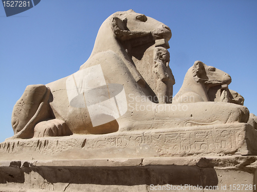 Image of Sphinxes in sunny ambiance