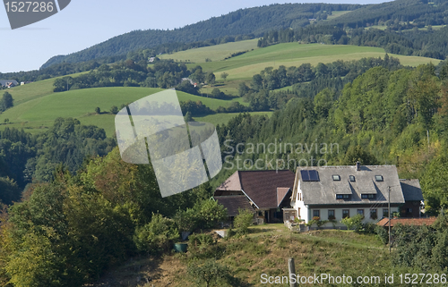 Image of idyllic peaceful Black Forest scenery