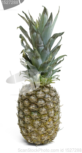 Image of pineapple fruit