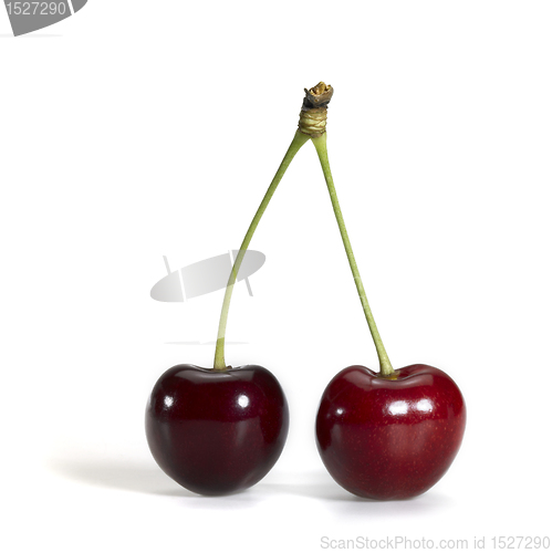 Image of perfect red cherry