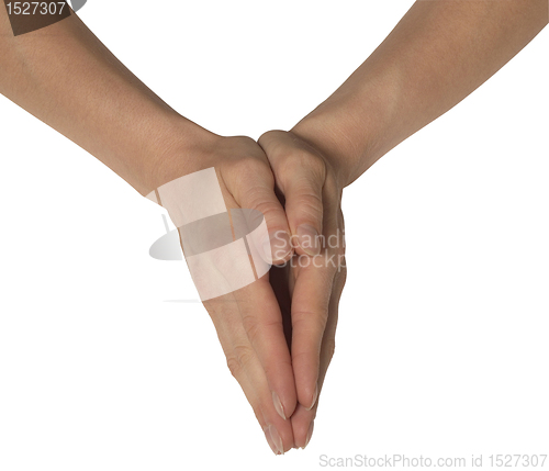 Image of feminine hands