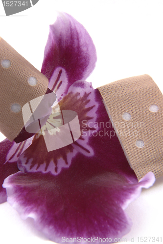 Image of violet orchid flower and adhesive tape