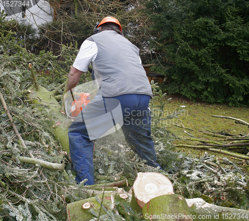 Image of lumberman at work