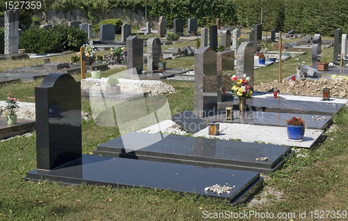 Image of sunny illuminated jewish graveyard