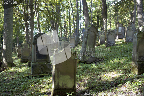 Image of old jewish graveyard