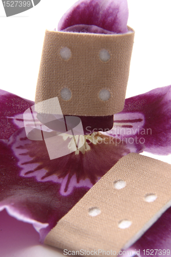 Image of violet orchid flower and adhesive tape