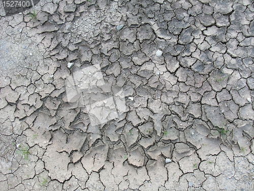 Image of almost dry soil