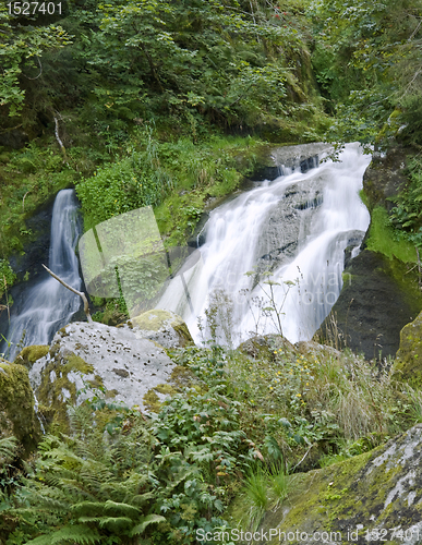 Image of Triberg Waterfalls in green vegetation