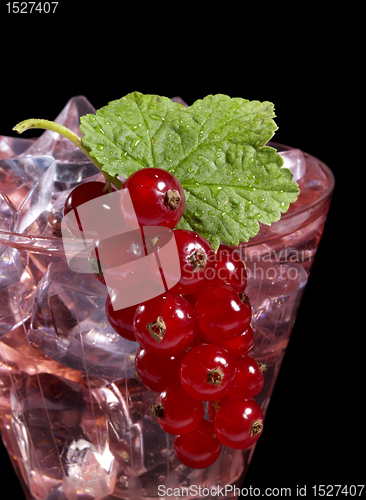 Image of Redcurrant cocktail